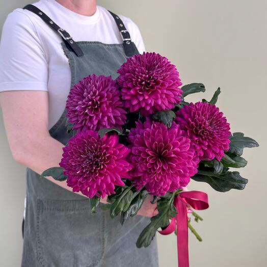 Пурпурные хризантемы с атласной лентой, размер S