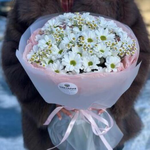 Снежность