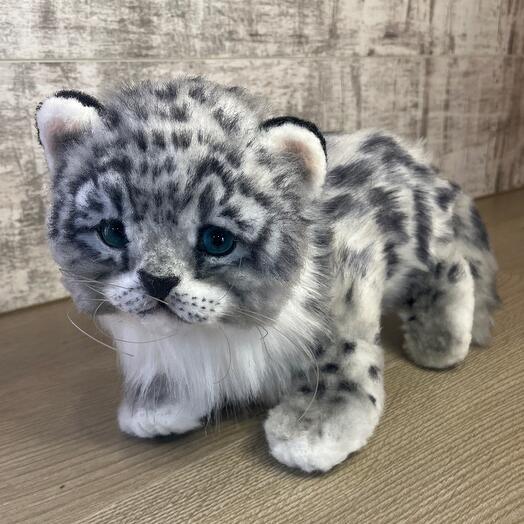 Милый котик