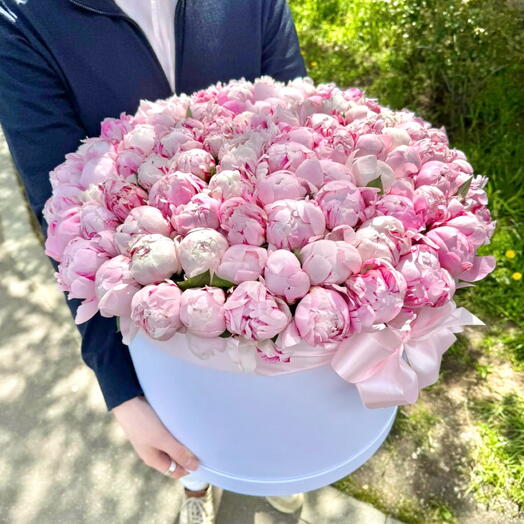 101 розовый пион в шляпной коробке