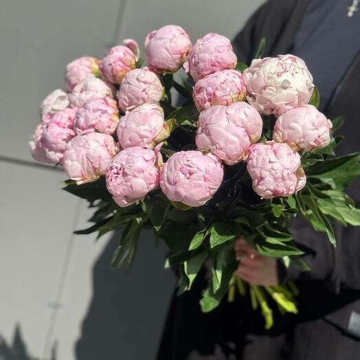 Пионы розовые 19