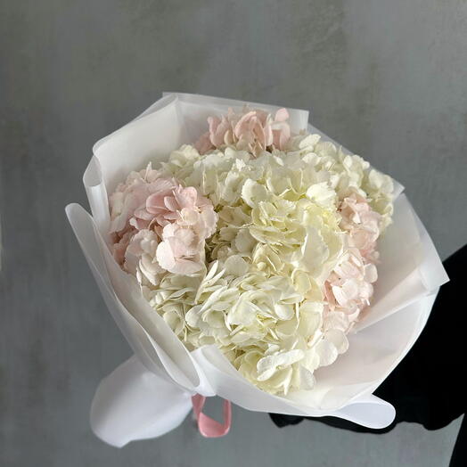 Soft bouquet of hydrangea