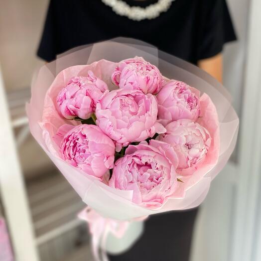 Пионы 🌸