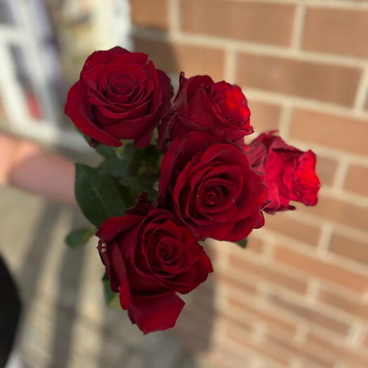 5 red roses 70 cm