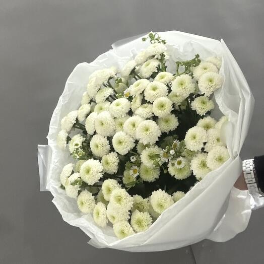 Кустовая хризантема Santini
