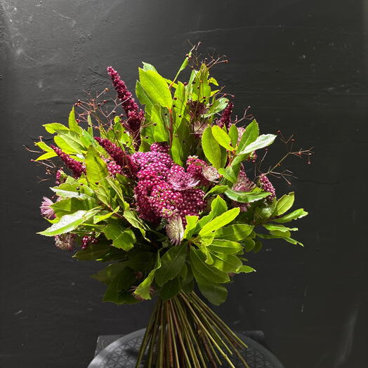 Ramo Amaranthus