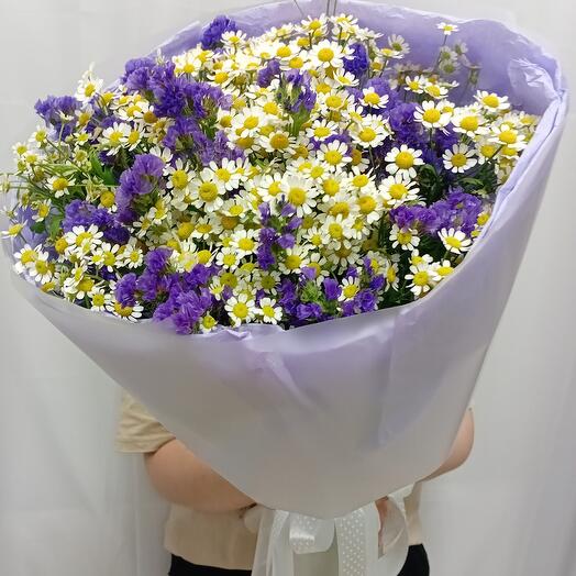 Violet Blank