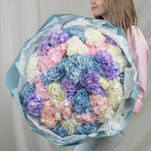 Букет из 35 гортензий (микс) Charlotte