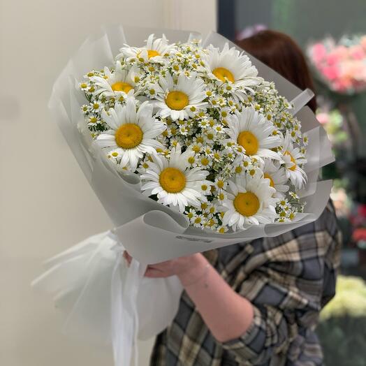 Ромашки 🌼