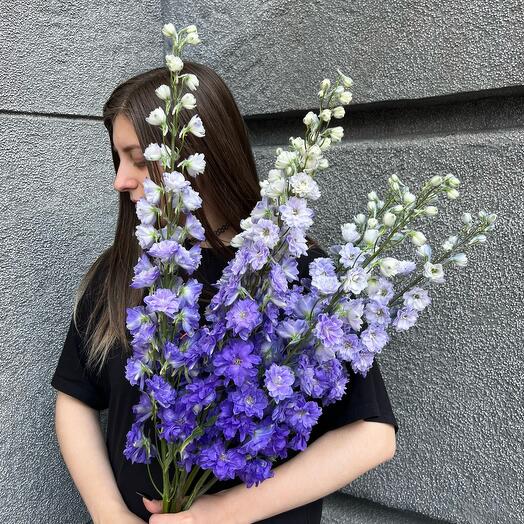 Моно букет из дельфиниума 7 штук 70см