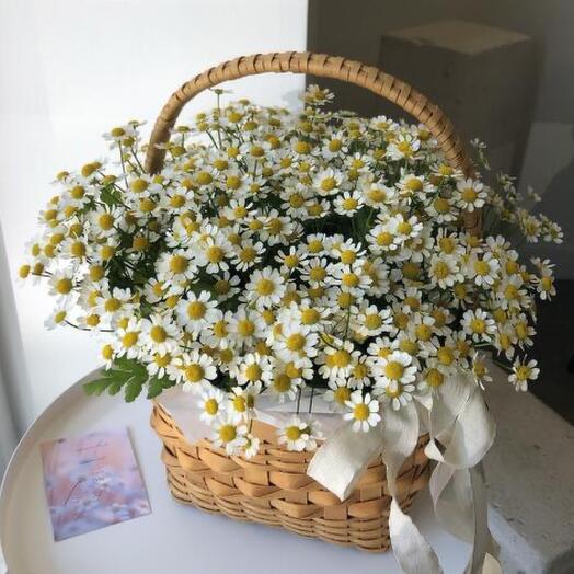 Корзина с кустовой ромашкой матрикария
