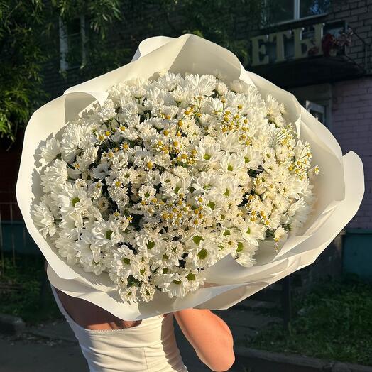 Букет-гигант с ромашками матрикария, сантини и бакарди
