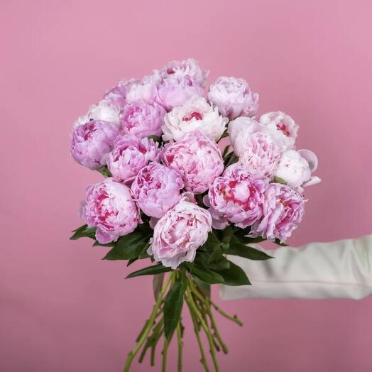 Букет из 17 пионов
