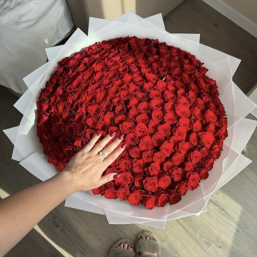 Букет из 179 роз