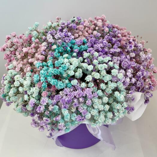 Радужная гипсофила в шляпной коробке 💜дофаминовая композиция