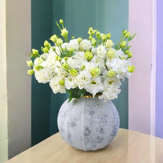 Vazo 💐