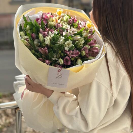 Монобукет стойких альстромерий