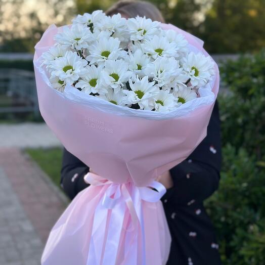 Моно из ромашек