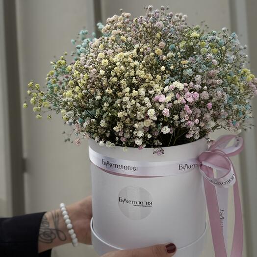 Гипсофилы в коробке L
