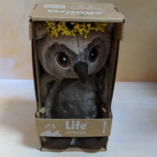 Owl Dormouse "Clear morning"
