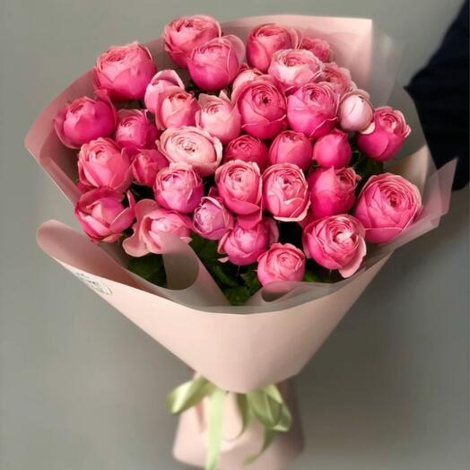 Сильва пинк 🌷