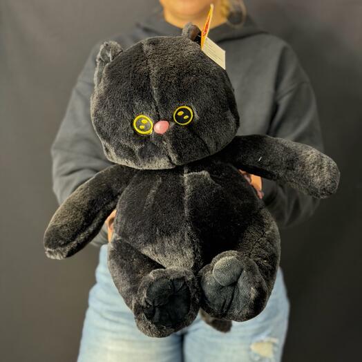 Черный кот