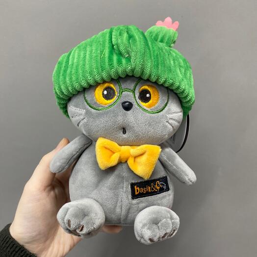 Кот «ботаник»