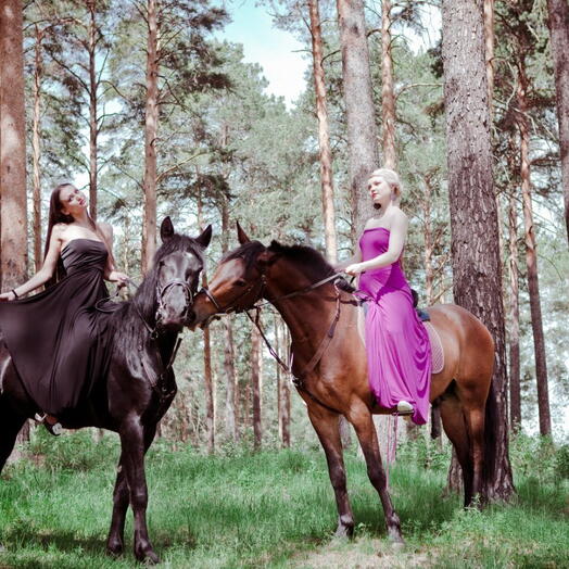 Подарочный сертификат «Фотосессия с лошадьми» (1 час, 1 человек)