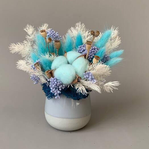 Композиция с сухоцветами «Моской бриз» хлопок | лагурус | озотамнус | агапантус