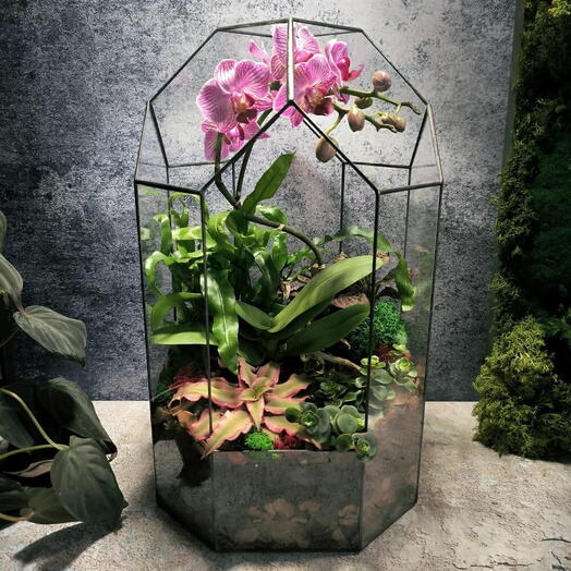 🎀Мастер-класс по созданию флорариума с орхидеей 1 участник 1,5 часа 💝