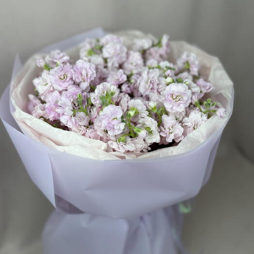 Маттиола в сиреневом цвете. 💜