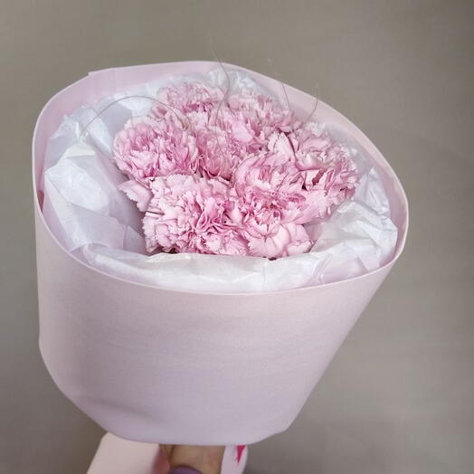 Розовые диантусы и ковыль (7 шт)