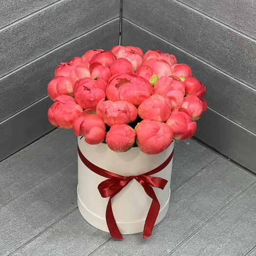 25 Коралловых пион