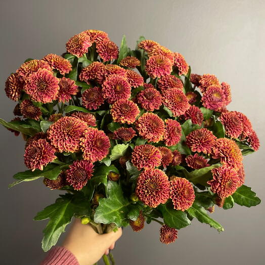 Букет из хризантемы Сантини