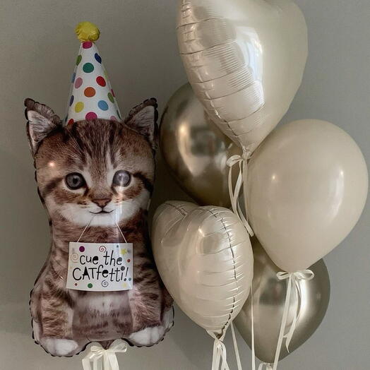 Cue the Catfetti – 7 Balloons (Helium Inflated)