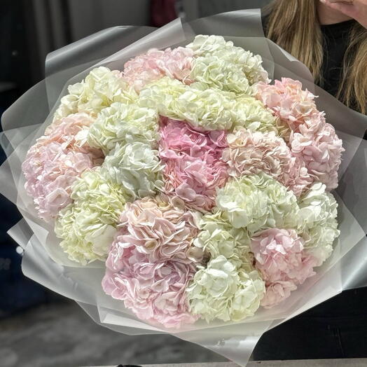 Нежное облако гортензий