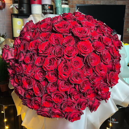 🌹 100 / 101 rose 🌹