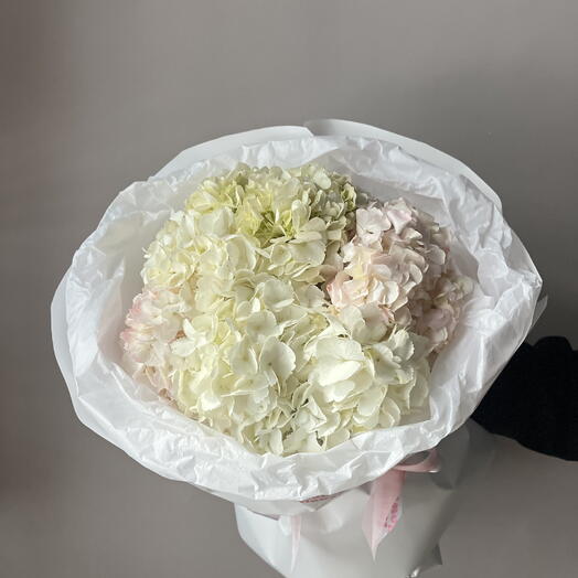 Букет из пяти гортензий