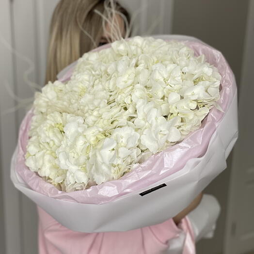 Букет «Нежный зефир» для любимой из гортензий Bloom room