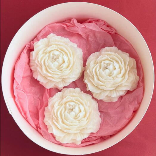 Подарочный набор свечей пионов