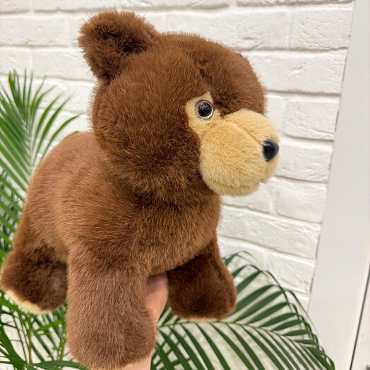 Мягкий мишка