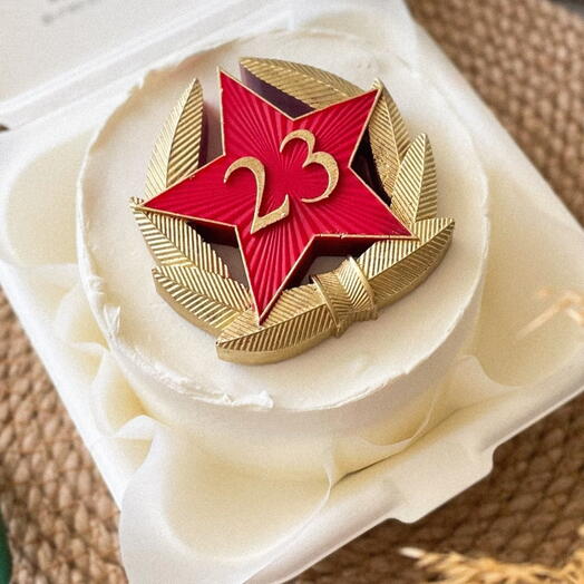 Бенто торт на 23 февраля с шоколадной фигуркой