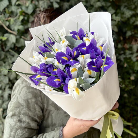 Букет весенних синих и белых ирисов 15 шт