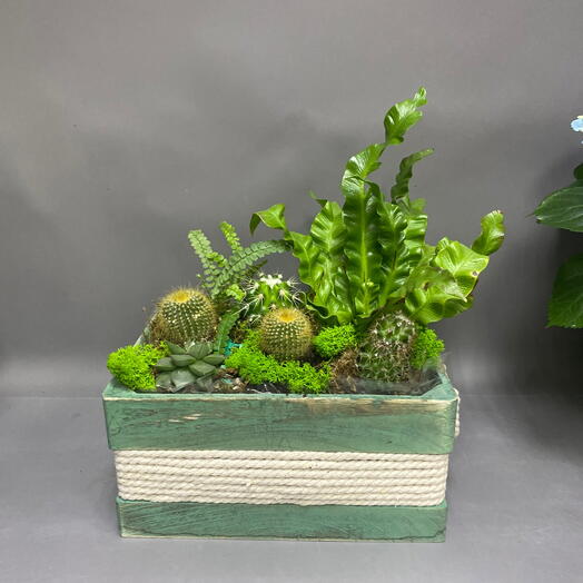 Мини-садик «однажды в Мексике»