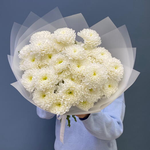 Белая хризантема кустовая