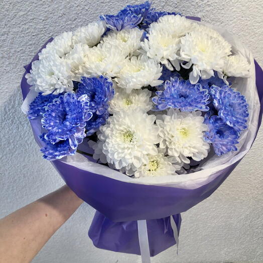 Букет моно из хризантем «Синий💙»