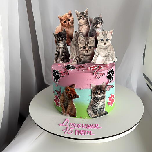 Торт с котами