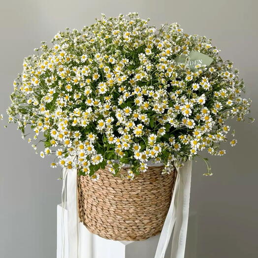 Корзина ромашек Fleur