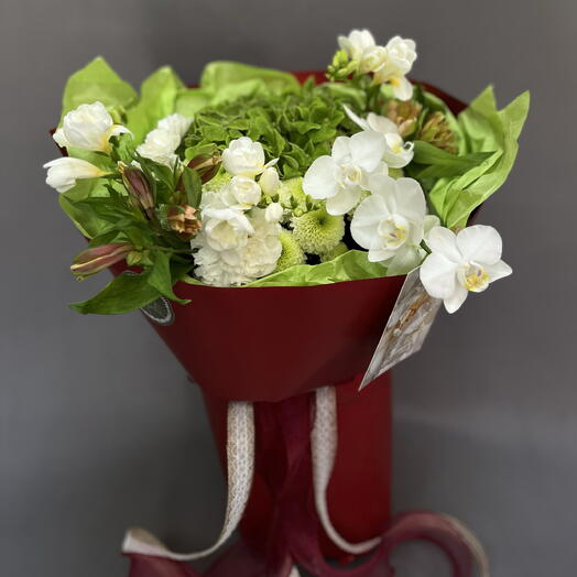 букет "Green world of phalaenopsis"