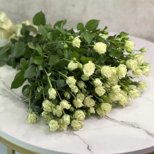 5 кустовых белых роз